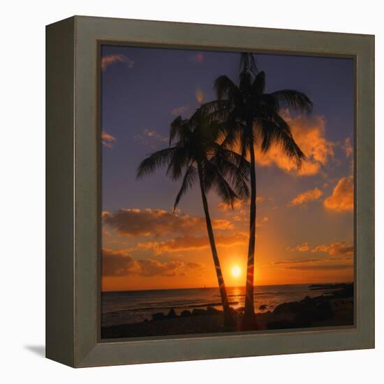 Palm Trees and Setting Sun (Square), Kauai Hawaii-Vincent James-Framed Premier Image Canvas