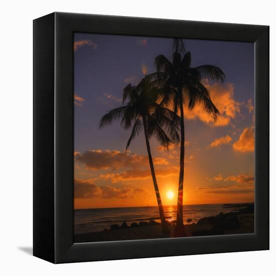 Palm Trees and Setting Sun (Square), Kauai Hawaii-Vincent James-Framed Premier Image Canvas