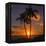 Palm Trees and Setting Sun (Square), Kauai Hawaii-Vincent James-Framed Premier Image Canvas