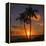 Palm Trees and Setting Sun (Square), Kauai Hawaii-Vincent James-Framed Premier Image Canvas