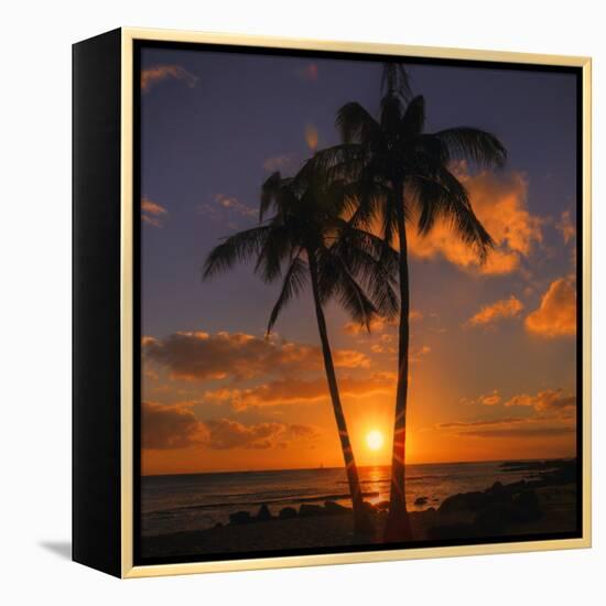 Palm Trees and Setting Sun (Square), Kauai Hawaii-Vincent James-Framed Premier Image Canvas