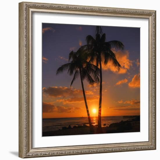 Palm Trees and Setting Sun (Square), Kauai Hawaii-Vincent James-Framed Photographic Print