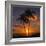 Palm Trees and Setting Sun (Square), Kauai Hawaii-Vincent James-Framed Photographic Print