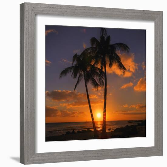 Palm Trees and Setting Sun (Square), Kauai Hawaii-Vincent James-Framed Photographic Print