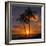 Palm Trees and Setting Sun (Square), Kauai Hawaii-Vincent James-Framed Photographic Print