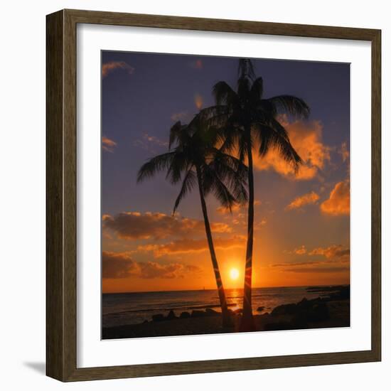 Palm Trees and Setting Sun (Square), Kauai Hawaii-Vincent James-Framed Photographic Print