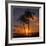 Palm Trees and Setting Sun (Square), Kauai Hawaii-Vincent James-Framed Photographic Print