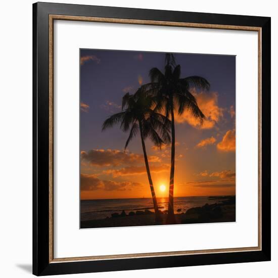 Palm Trees and Setting Sun (Square), Kauai Hawaii-Vincent James-Framed Photographic Print