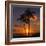 Palm Trees and Setting Sun (Square), Kauai Hawaii-Vincent James-Framed Photographic Print