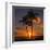 Palm Trees and Setting Sun (Square), Kauai Hawaii-Vincent James-Framed Photographic Print