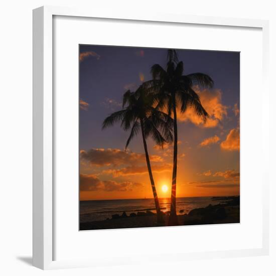 Palm Trees and Setting Sun (Square), Kauai Hawaii-Vincent James-Framed Photographic Print