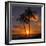 Palm Trees and Setting Sun (Square), Kauai Hawaii-Vincent James-Framed Photographic Print