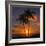 Palm Trees and Setting Sun (Square), Kauai Hawaii-Vincent James-Framed Photographic Print