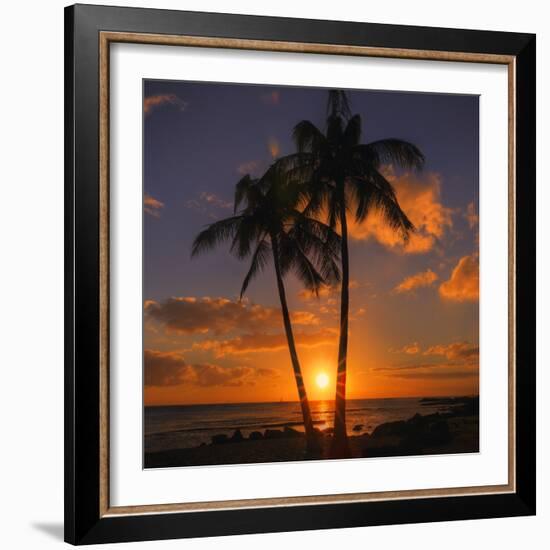 Palm Trees and Setting Sun (Square), Kauai Hawaii-Vincent James-Framed Photographic Print