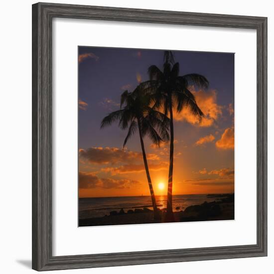 Palm Trees and Setting Sun (Square), Kauai Hawaii-Vincent James-Framed Photographic Print