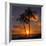 Palm Trees and Setting Sun (Square), Kauai Hawaii-Vincent James-Framed Photographic Print