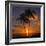 Palm Trees and Setting Sun (Square), Kauai Hawaii-Vincent James-Framed Photographic Print