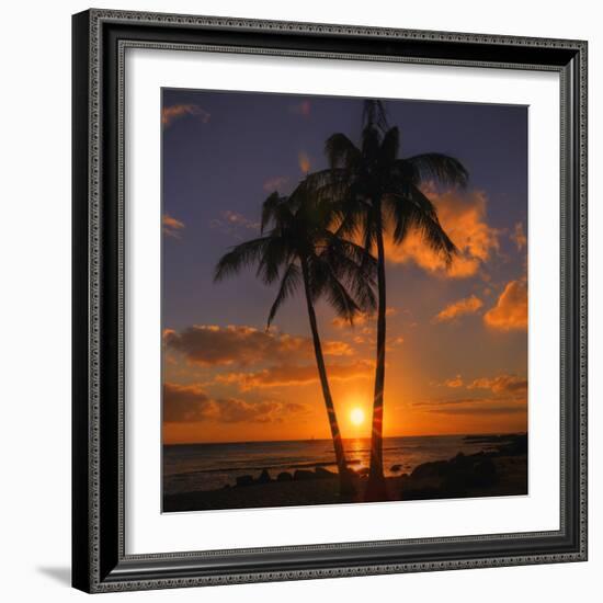 Palm Trees and Setting Sun (Square), Kauai Hawaii-Vincent James-Framed Photographic Print