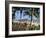 Palm Trees and Tourists, Bakau Beach, the Gambia, West Africa, Africa-J Lightfoot-Framed Photographic Print