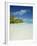 Palm Trees and Tropical Beach, Aitutaki Island, Cook Islands, Polynesia-Steve Vidler-Framed Photographic Print