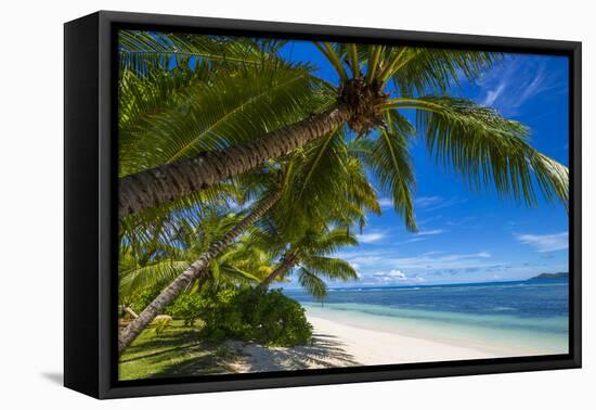 Palm Trees and Tropical Beach, La Digue, Seychelles-Jon Arnold-Framed Premier Image Canvas