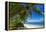 Palm Trees and Tropical Beach, La Digue, Seychelles-Jon Arnold-Framed Premier Image Canvas