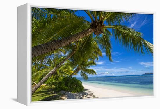 Palm Trees and Tropical Beach, La Digue, Seychelles-Jon Arnold-Framed Premier Image Canvas