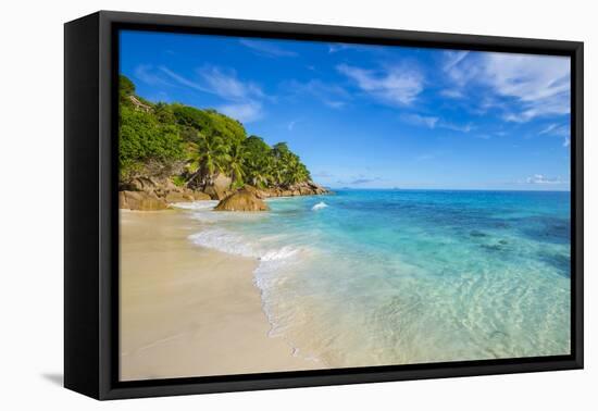 Palm Trees and Tropical Beach, La Digue, Seychelles-Jon Arnold-Framed Premier Image Canvas