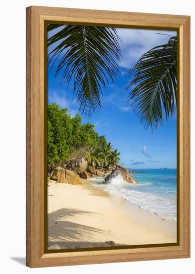 Palm Trees and Tropical Beach, La Digue, Seychelles-Jon Arnold-Framed Premier Image Canvas