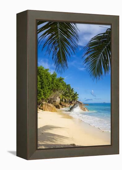 Palm Trees and Tropical Beach, La Digue, Seychelles-Jon Arnold-Framed Premier Image Canvas