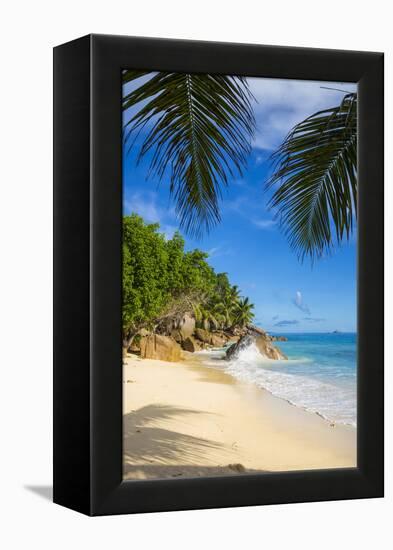 Palm Trees and Tropical Beach, La Digue, Seychelles-Jon Arnold-Framed Premier Image Canvas