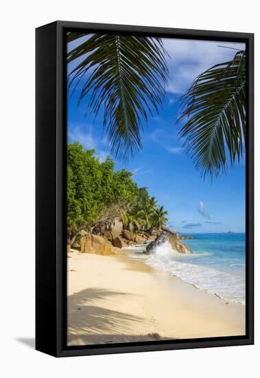 Palm Trees and Tropical Beach, La Digue, Seychelles-Jon Arnold-Framed Premier Image Canvas