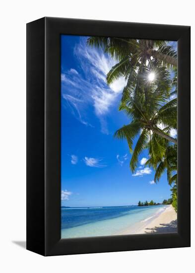 Palm Trees and Tropical Beach, La Digue, Seychelles-Jon Arnold-Framed Premier Image Canvas