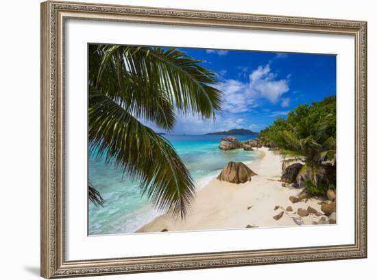 Palm Trees and Tropical Beach, La Digue, Seychelles-Jon Arnold-Framed Photographic Print