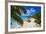 Palm Trees and Tropical Beach, La Digue, Seychelles-Jon Arnold-Framed Photographic Print