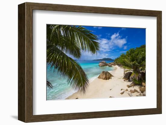 Palm Trees and Tropical Beach, La Digue, Seychelles-Jon Arnold-Framed Photographic Print