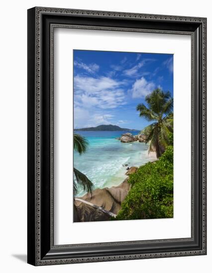 Palm Trees and Tropical Beach, La Digue, Seychelles-Jon Arnold-Framed Photographic Print