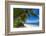 Palm Trees and Tropical Beach, La Digue, Seychelles-Jon Arnold-Framed Photographic Print