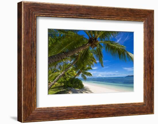 Palm Trees and Tropical Beach, La Digue, Seychelles-Jon Arnold-Framed Photographic Print