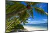 Palm Trees and Tropical Beach, La Digue, Seychelles-Jon Arnold-Mounted Photographic Print