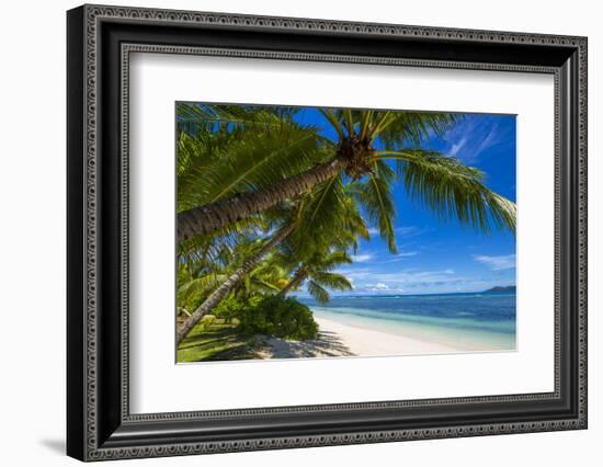 Palm Trees and Tropical Beach, La Digue, Seychelles-Jon Arnold-Framed Photographic Print