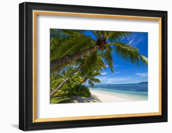 Palm Trees and Tropical Beach, La Digue, Seychelles-Jon Arnold-Framed Photographic Print