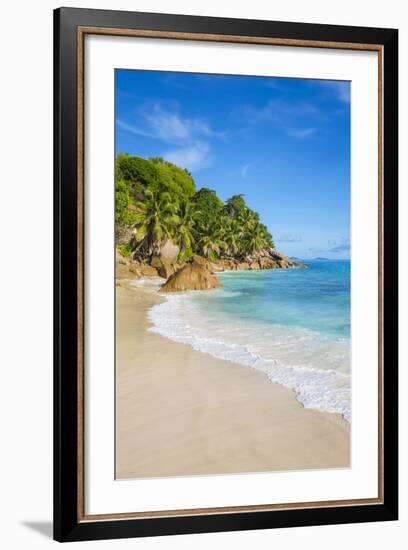 Palm Trees and Tropical Beach, La Digue, Seychelles-Jon Arnold-Framed Photographic Print