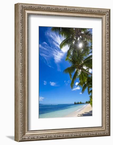 Palm Trees and Tropical Beach, La Digue, Seychelles-Jon Arnold-Framed Photographic Print