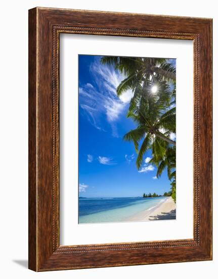 Palm Trees and Tropical Beach, La Digue, Seychelles-Jon Arnold-Framed Photographic Print