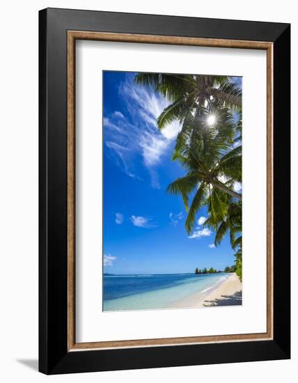 Palm Trees and Tropical Beach, La Digue, Seychelles-Jon Arnold-Framed Photographic Print