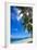 Palm Trees and Tropical Beach, La Digue, Seychelles-Jon Arnold-Framed Photographic Print