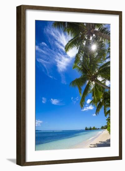 Palm Trees and Tropical Beach, La Digue, Seychelles-Jon Arnold-Framed Photographic Print