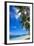 Palm Trees and Tropical Beach, La Digue, Seychelles-Jon Arnold-Framed Photographic Print