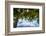 Palm Trees and Tropical Beach, La Digue, Seychelles-Jon Arnold-Framed Photographic Print